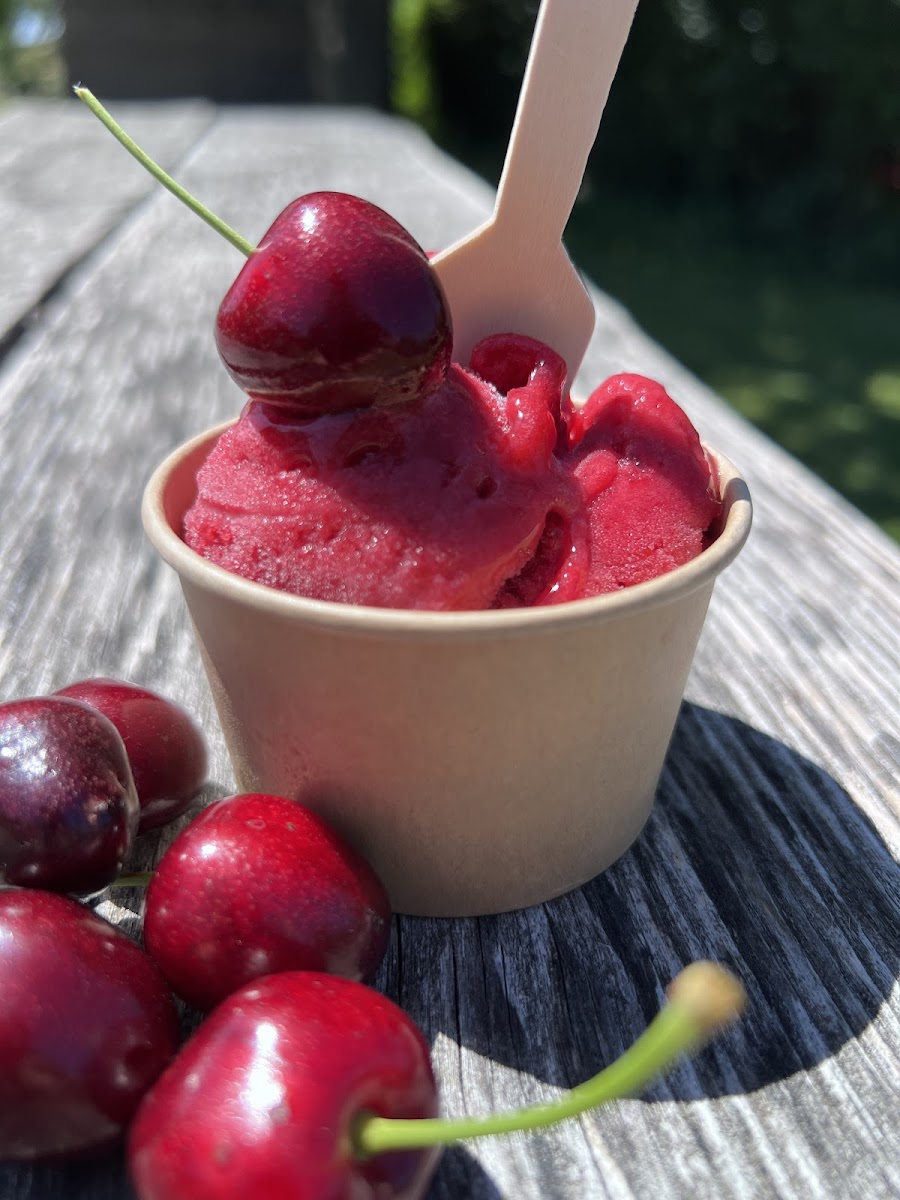 Landgasthof Burgerstuble - Melanie Molzner